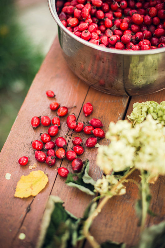 Unveiling the Nutrient-Rich Marvel: Goji Berries and Your Path to Wellness