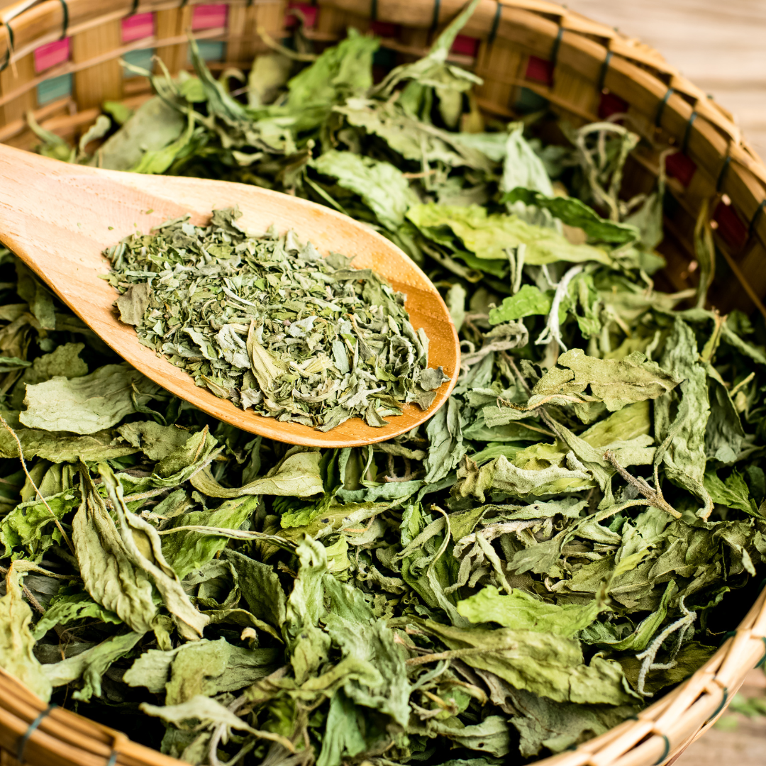 Stevia Premium Loose Leaf Tea